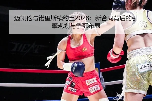 mai-kai-lun-yu-nuo-li-si-xu-yue-zhi-xin-he-tong-bei-hou-de-yin-qing-gui-hua-yu-zheng-guan-bu-ju-2-414.jpg